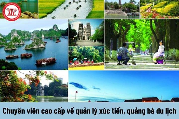 Hotspot Matrix: Biến Tận hưởng FIFA Club World Cup thành cơ hội marketing đột phá