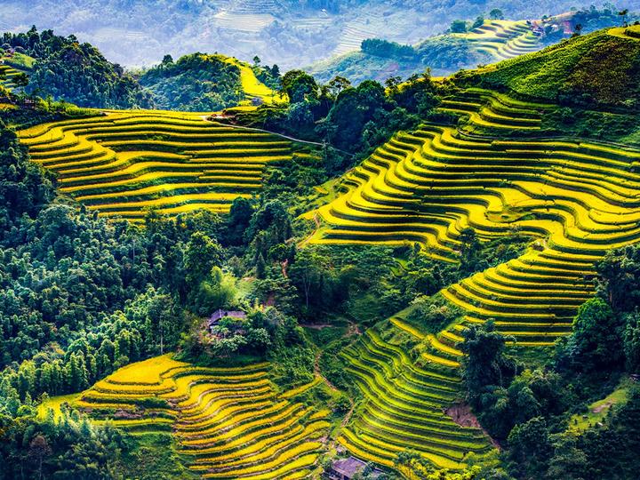 Thương mại hóa nội dung: Chìa khóa vàng trong kỷ nguyên video ngắn
